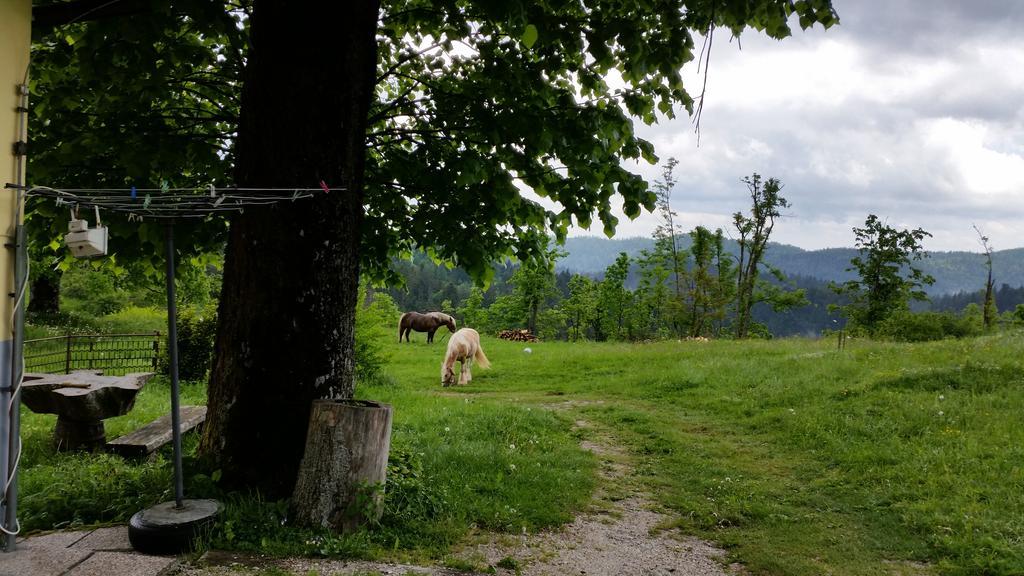 Gostilna Stara Posta Hotel Podkraj Bagian luar foto